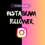 Instagram Follower Premium